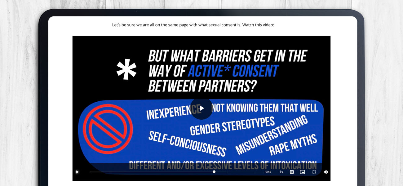 Screenshot: Online Sexual Violence And Harassment Training